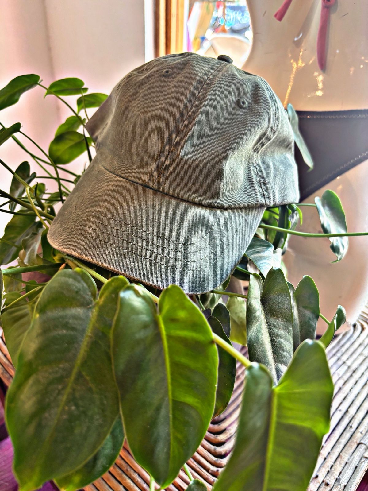 Gorra